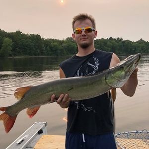 Meet your Posher, Austin